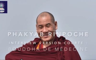 Vidéo : La pratique du bouddha de médecine