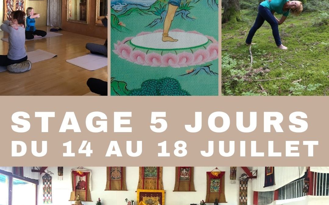 Stage yoga tibétain Lu Jong du 14 au 18 juillet