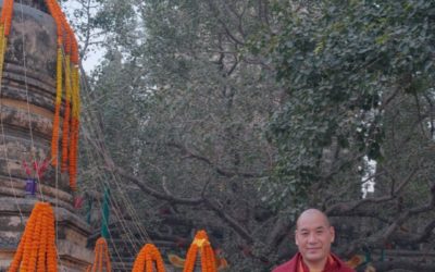 Voyage en Inde avec Phakyab Rinpoche – janvier-février 2024
