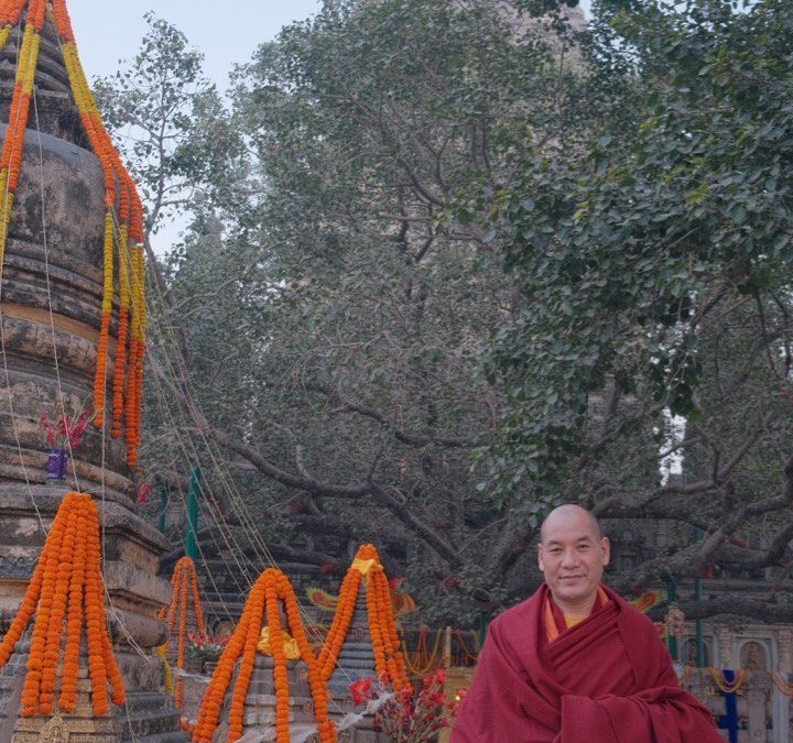 Voyage en Inde avec Phakyab Rinpoche – janvier-février 2024